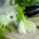 Bio Fenchel Bauernhof (Kg)