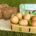 Bio Eier -M- Regional Naturland (90 Stck.)