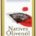 Bio Olivenöl nativ extra Spanien (0,5l Flasche)