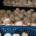 Champignons weiß (3 Kg)
