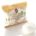 Bio Büffelmozzarella (125g)