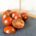 Bio Cocktail Tomaten (6 Kg Kiste)