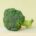 Bio Brokkoli/Broccoli Bauernhof (5 Kg Kiste)