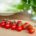 Cherry-Tomaten, rund (250g Schale) Bio