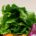 Romana Salate (10 Stck.)