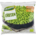 Erbsen, (450 gr) Beutel BIO